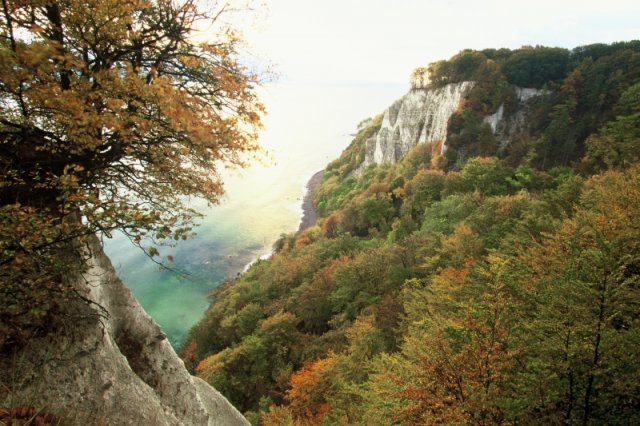 Herbst am Knigsstuhl